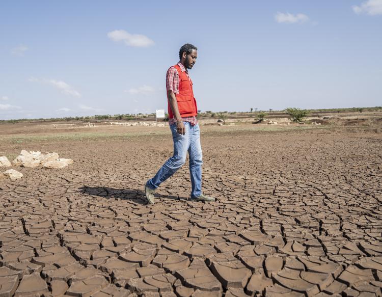 Bliv klogere på fødevarekrisen på Afrikas Horn og hvordan den kan løses på længere sigt