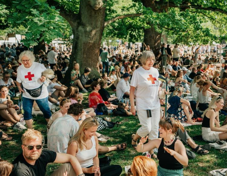 Bliv pantsamler og få en gratis billet til Syd for Solen-festival til august   